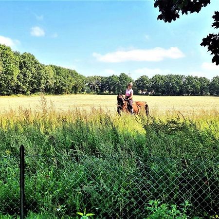 Lueneburg-Melbeck, 105 Qm Mit Fernsicht, Ruhige Sackgasse, Fussbodenheizung, Wallbox Gegen Gebuehr المظهر الخارجي الصورة